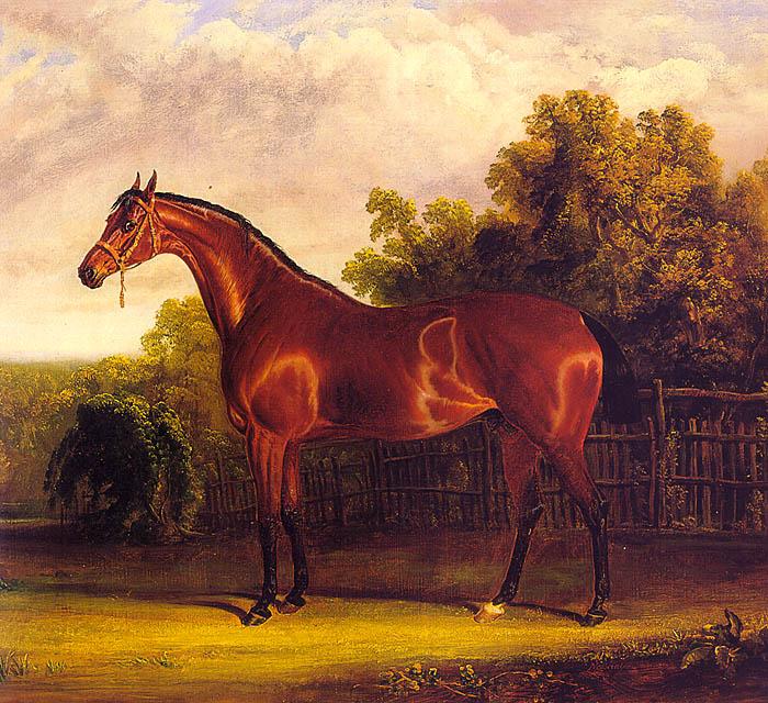 John F Herring Negotiator, the Bay Horse in a Landscape Germany oil painting art